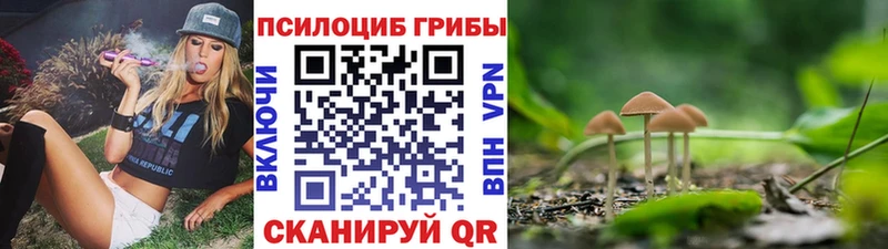 Галлюциногенные грибы GOLDEN TEACHER  Белый 